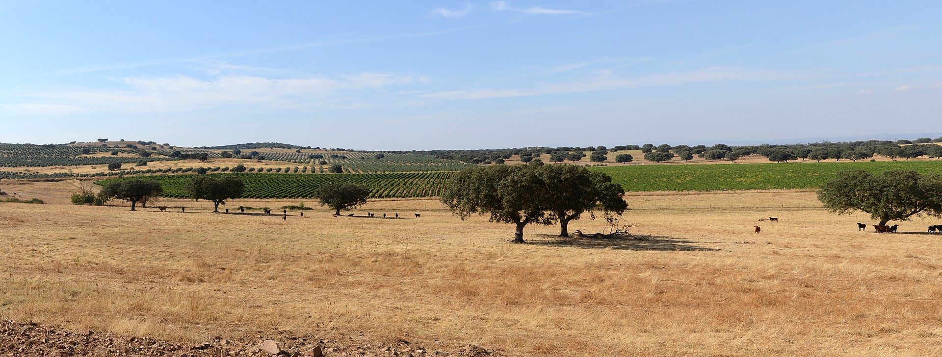 Planícies do Alentejo