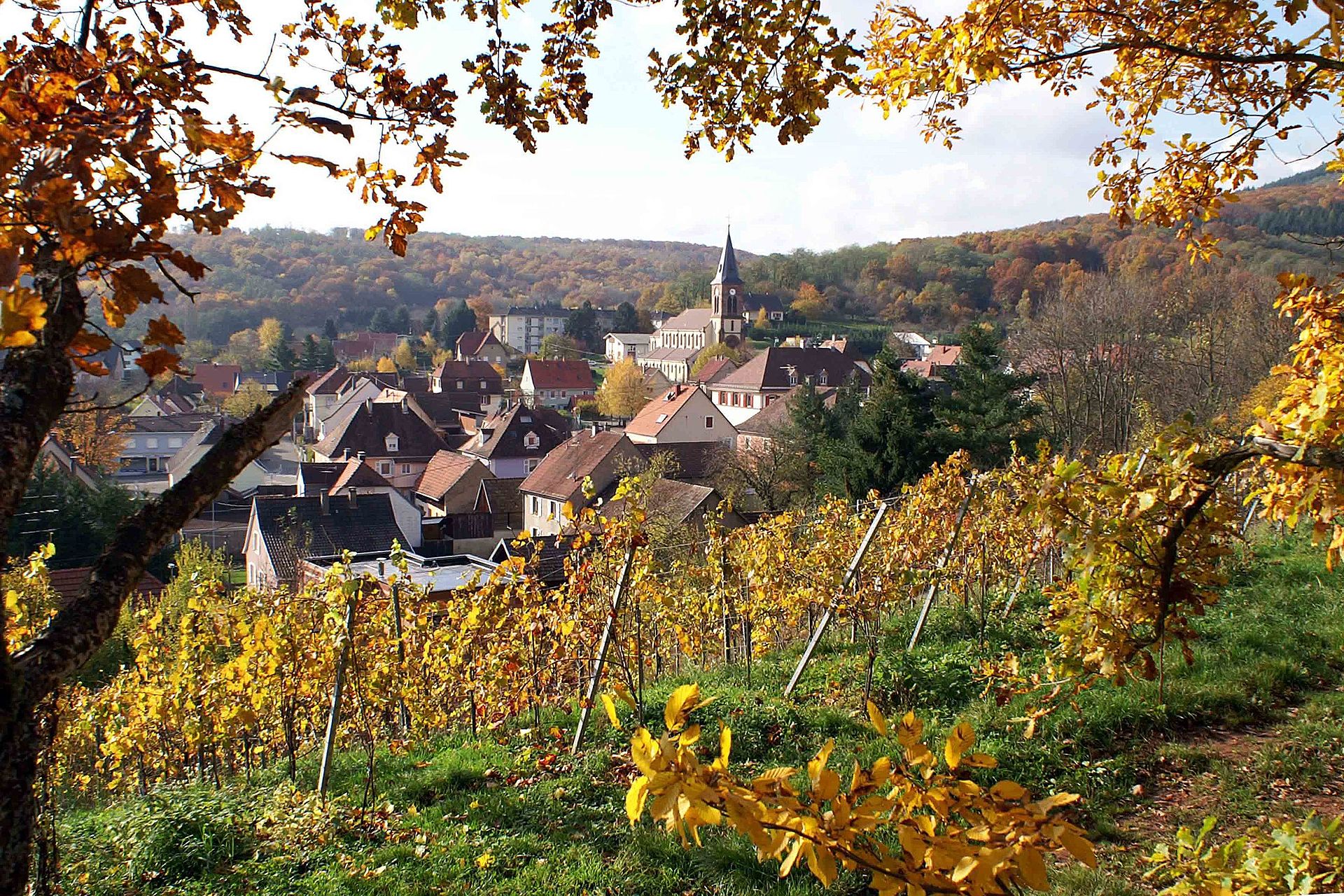 Vinhas no outono e o vilarejo de Steinbach, na Alsace