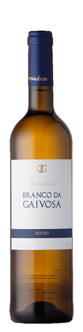 Branco da Gaivosa