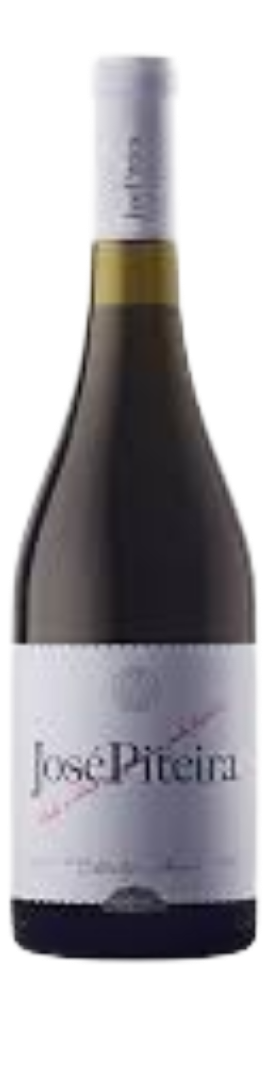 José Piteira Branco