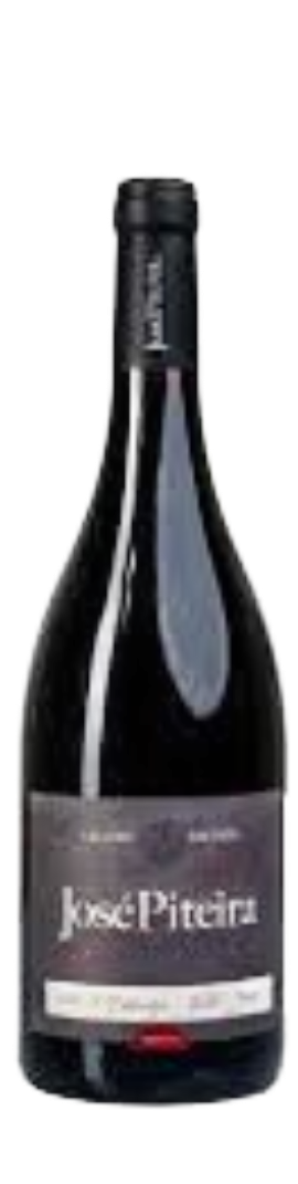 José Piteira Alicante Grande Escolha