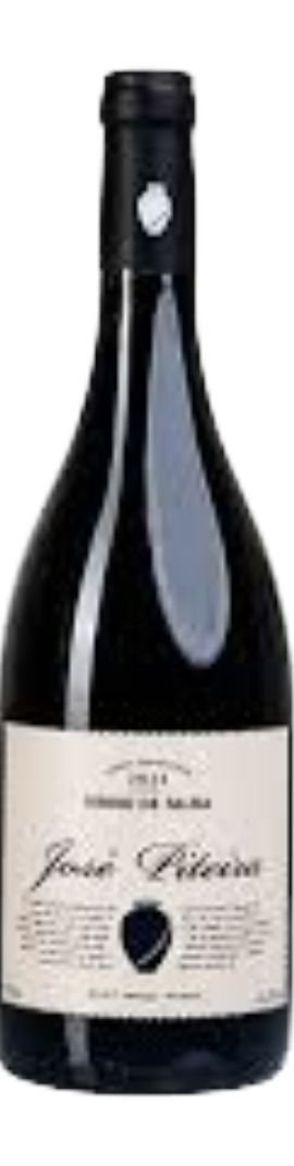 José Piteira Talha Moreto