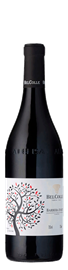 Barbera d'Asti Bel Colle