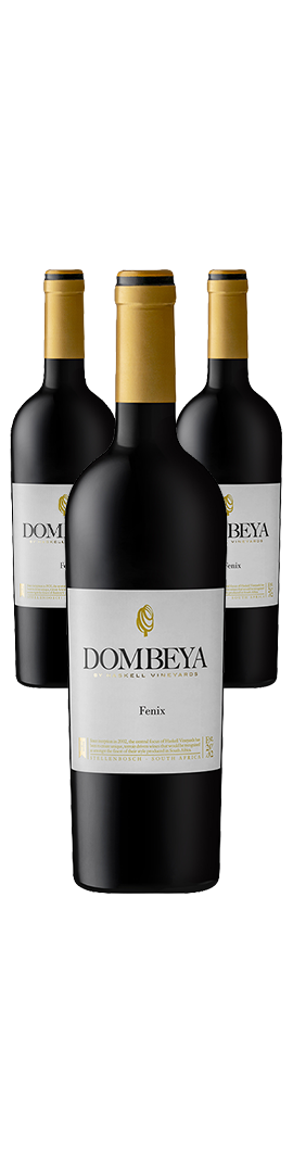 Dombeya Fenix - Kit 3 grfs