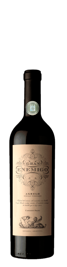 Gran Enemigo Agrelo Cabernet Franc 2020
