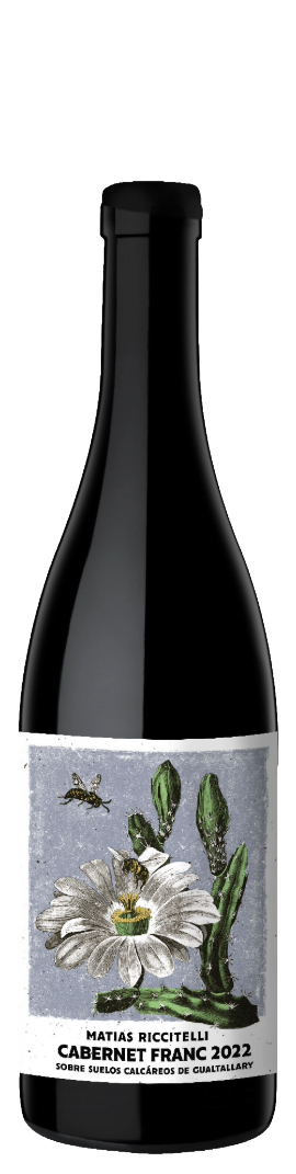 Riccitelli Gualtallary Cabernet Franc 2023