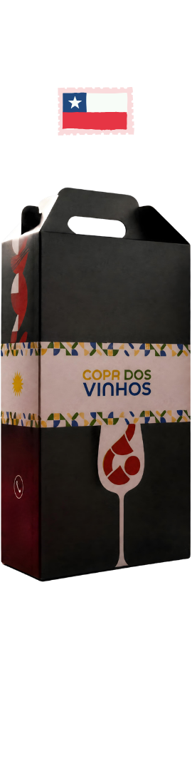Kit Copa dos Vinhos CHILE