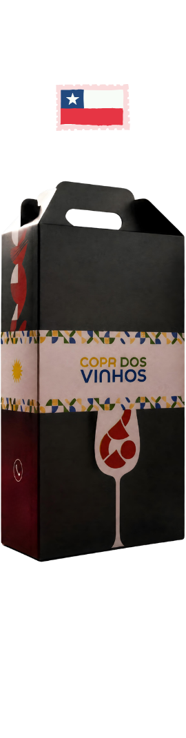 Kit Copa dos Vinhos CHILE