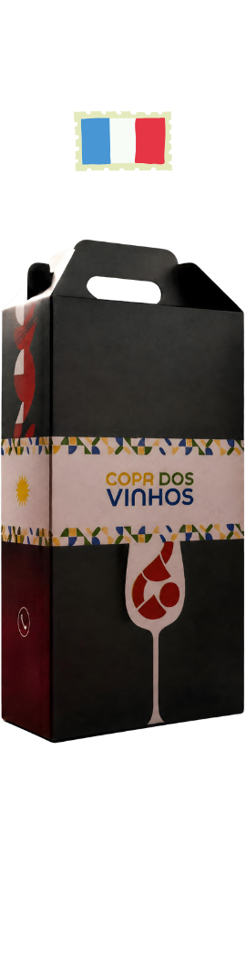 Kit Copa dos Vinhos FRANÇA