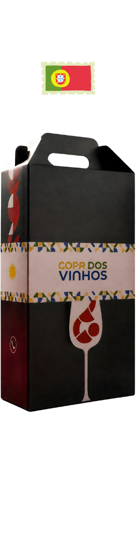 Kit Copa dos Vinhos PORTUGAL