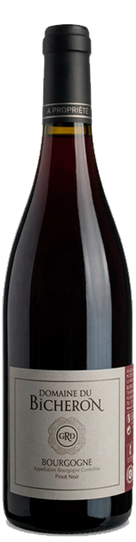 Bourgogne Pinot Noir 2023 Domaine du Bicheron