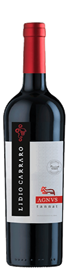 Lidio Carraro Agnus Tannat