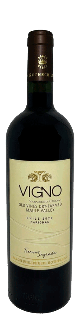 Vigno Tierra Sagrada Carignan
