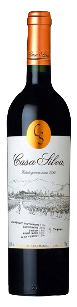Casa Silva 5 Cepas