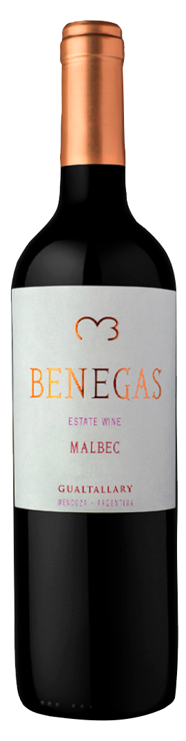 Benegas Estate Malbec Gualtallary