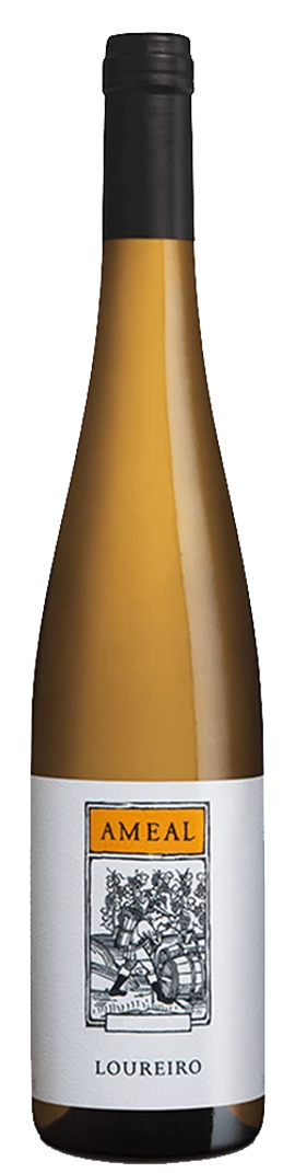 Ameal Loureiro