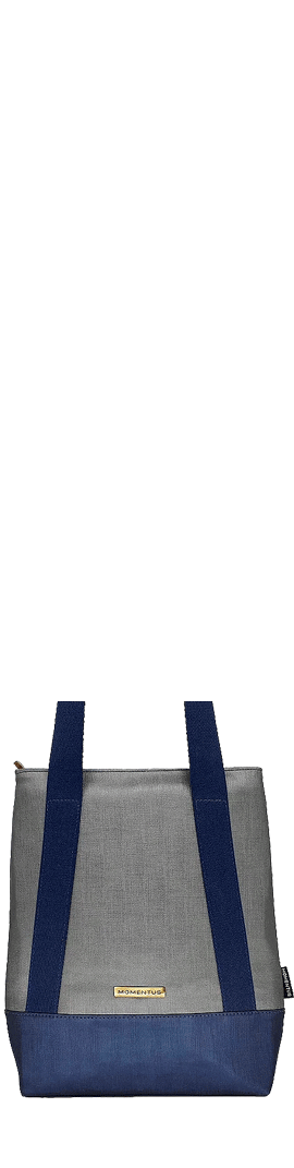 Winebags Campeche Cinza