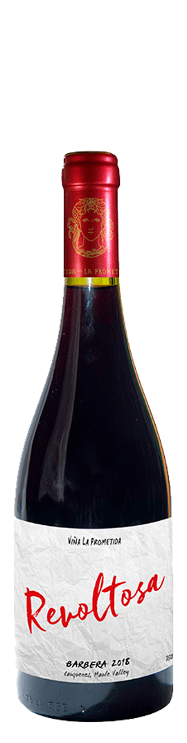 Revoltosa Barbera