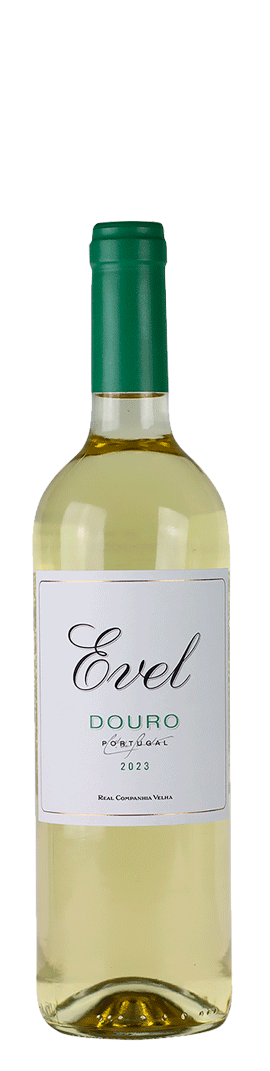 Evel Branco