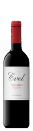 Evel Tinto 2019