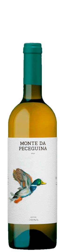 Peceguina Rosé