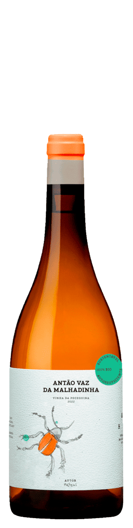 Malhadinha Antão Vaz