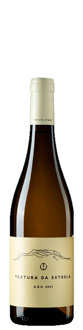 Textura Da Estrela Branco